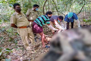 malappuram elephant death  malappuram news  elephant death news  മലപ്പുറം വാര്‍ത്തകള്‍  മലപ്പുറത്ത് ആന ചെരിഞ്ഞു  ആന ചെരിഞ്ഞു