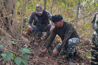 police recovered 34 cane ied bomb in chaibasa