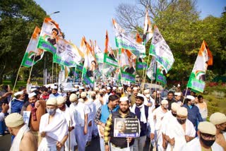 दिल्ली में 'अहिंसा मार्च'