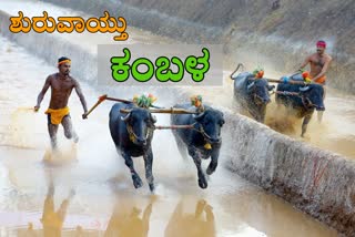 Kambala