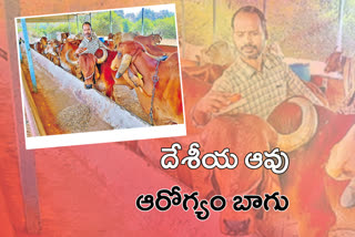 soft ware engineer started earning with cattle in yadadri bhuvanagiri district