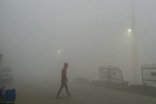 fog in haldwani