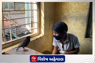 લહાન ચર્યા ગામે બોલતી કાબર બની શાળાની સભ્ય