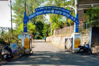 IIT shahpur kangra