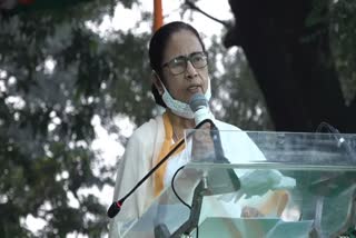 CM Mamata Banerjee will inaugurate North Bengal Festival