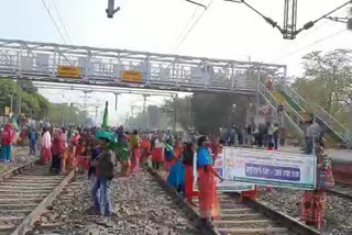 demonstrations of tribal people in purba bardhaman