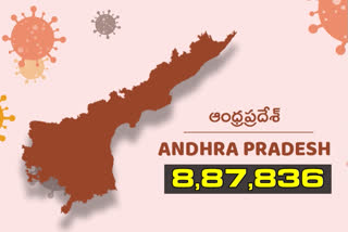 new 116 covid cases found in ap