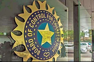 TNCA secy to request BCCI on Monday to allow fans for 2nd Test