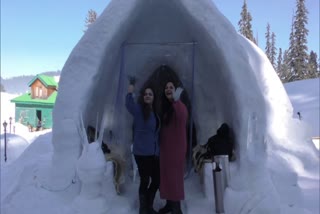 igloo cafe