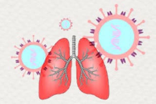 Corona virus infects on Lung cells within hours