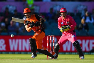 Big bash league: Sydney sixers reaches final