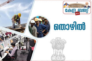 budget  union budget  employment  employment field  കേന്ദ്ര ബജറ്റ്  കേന്ദ്ര ബജറ്റ് 2021