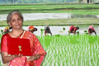 Union Budget 2021 Agriculture credit target up to Rs 16.5 lakh crore nirmala Sitharaman announces