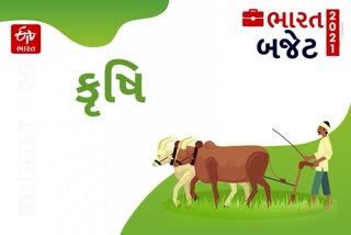 2021-22નાં બજેટમાં કૃષિ ક્ષેત્રને મોટી રાહત