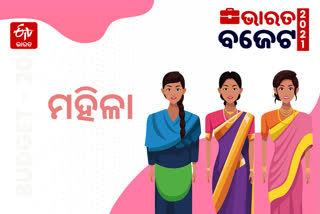 ବଜେଟରେ ବଡ ଘୋଷଣା: ମହିଳାଙ୍କୁ ନାଇଟ ସିଫ୍ଟ କରିବାକୁ ମିଳିଲା ଅନୁମତି