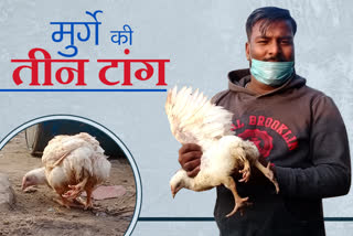 roorkee chicken news