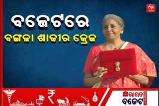 ବଜେଟ ଦିନ ବଙ୍ଗାଳୀ 'ଲାଲପାଡ' ପିନ୍ଧି ଜନତାଙ୍କ ମନ ମୋହିଲେ ସୀତାରମଣ