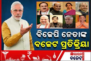 ବଜେଟ 2021: ସାଧାରଣ ଜନତାଙ୍କ ବିଶ୍ବାସ ଜିତିବ ବିଜେପି !