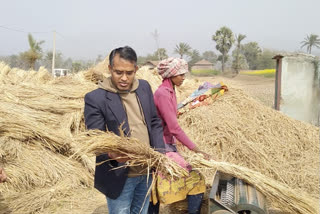 dc harvests paddy from the machine in sahibganj