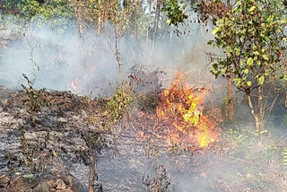 Fire broke out in Vilangadu cashew plantation  Fire broke out at cashew plantation  വിലങ്ങാട് കശുമാവിൻ തോട്ടത്തിൽ വൻ തീ പിടുത്തം