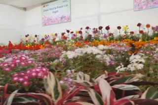 District level  fruit  and flower exhibition started in anugul