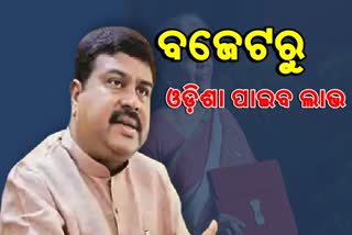 budget 2021 will profitable for odisha says dharmendra pradhan