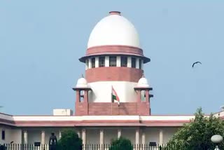 Supreme Court grants anticipatory bail, बिना अधिकार भूमि के पट्टे जारी करने का मामला