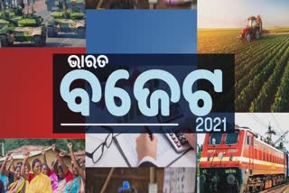 କେନ୍ଦ୍ରୀୟ ବଜେଟ -2021