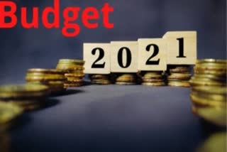 Kirit Parikh reaction on Budget 2021