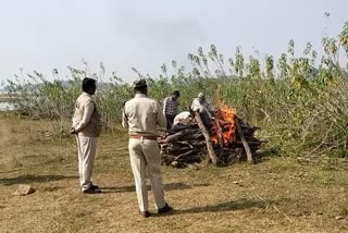 Leopard dies due to electrocution in Amba Rahtgaon forest in harda