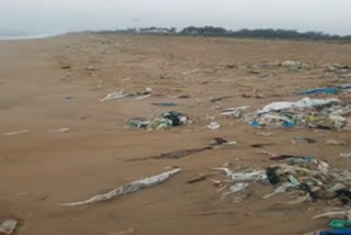 Increased waste in sea pauses threat to humankind