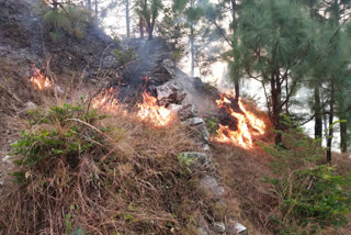 forest fire in rudraprayag