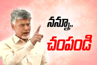 పట్టాభిని చంపాలనే దాడి చేశారు: చంద్రబాబు