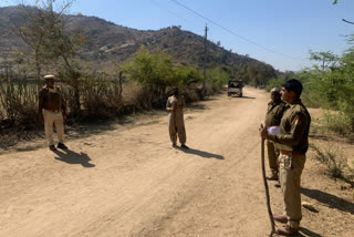 उदयपुर की ताजा हिंदी खबरें, पैंथर ने किया किसान पर हमला, Panther attack on farmer in village