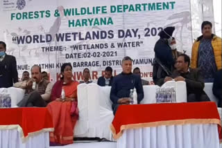 world wetland day program yamunanagar