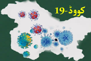 جموں و کشمیر: کووڈ 19 کے 44 کیسز، دو اموات