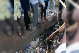 Locals have rescued buffalo which fell into the inner drain