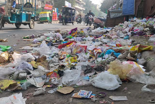 Poor sanitary conditions of  kalandar colony of new delhi