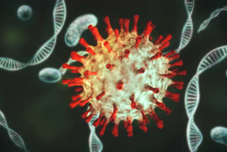 Germany detects new coronavirus variant linked to Norway