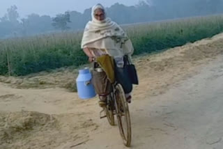 62 YEAR OLD UP WOMAN PEDDLES TO SELL MILK