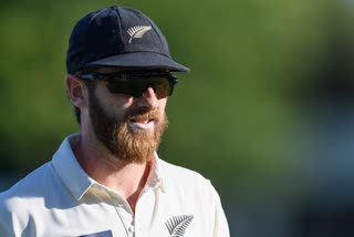 Kane Williamson said It's Exciting To Play WTC Final, Adds Context To Test Cricket