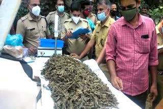 four kilogram ganja seized in calicut  നാല് കിലോയിലധികം കഞ്ചാവുമായി യുവാക്കള്‍ പിടിയില്‍  കോഴിക്കോട്  കോഴിക്കോട് ക്രൈം വാര്‍ത്തകള്‍  ക്രൈം വാര്‍ത്തകള്‍  ക്രൈം ലേറ്റസ്റ്റ് ന്യൂസ്