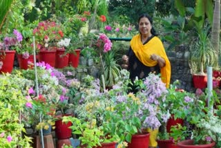 Flower gardening by Usha teacher  Flower garden in periya  വൈവിധ്യമാർന്ന പൂന്തോട്ടം  ഉഷ ടീച്ചറുടെ വീട്ടുമുറ്റത്തെ പൂന്തോട്ടം