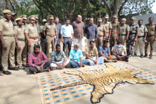 Six arrested for trying to sell tiger skin near pollachi