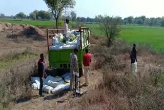 poppy seize from farm in Shivpuri