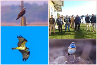 देवगढ़ में विश्व वेटलैंड्स दिवस, World Wetlands Day in Deogarh