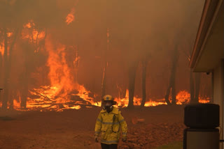 Wildfire in Australia  wildfire Australia burns more homes  more homes burnt in Australia wildfire  Australia wildfire  Australia fire  Australia bushfire  Darren Klemm  ഓസ്‌ട്രേലിയ  ഓസ്‌ട്രേലിയ കാട്ടുതീ  കാട്ടുതീ  ഓസ്‌ട്രേലിയയിൽ ഉണ്ടായ കാട്ടുതീയിൽ 70ലധികം വീടുകൾ നശിച്ചു  international news