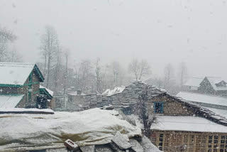 Snowfall in Solanganala and Lahaul