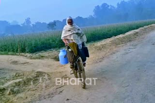 Sheila devi Buaa pedals 5-km per day to sell milk