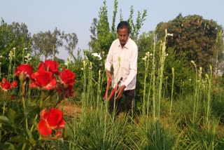 farming